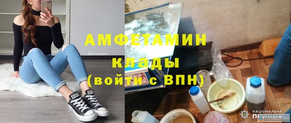 ГАЛЛЮЦИНОГЕННЫЕ ГРИБЫ Бородино