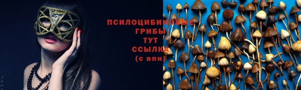 эйфоретик Медногорск