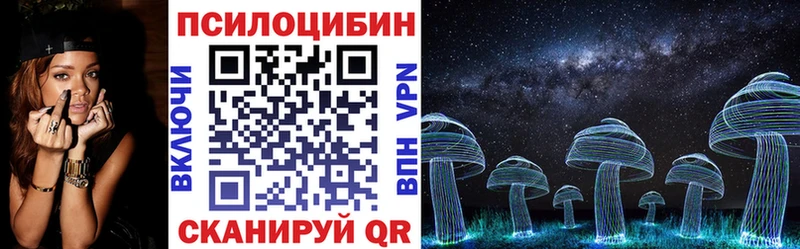 Псилоцибиновые грибы Cubensis  наркота  Тара 