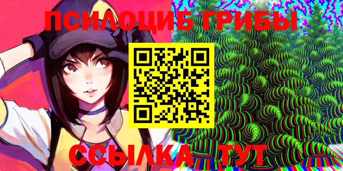Псилоцибиновые грибы GOLDEN TEACHER  Вход с VPN  Тара 