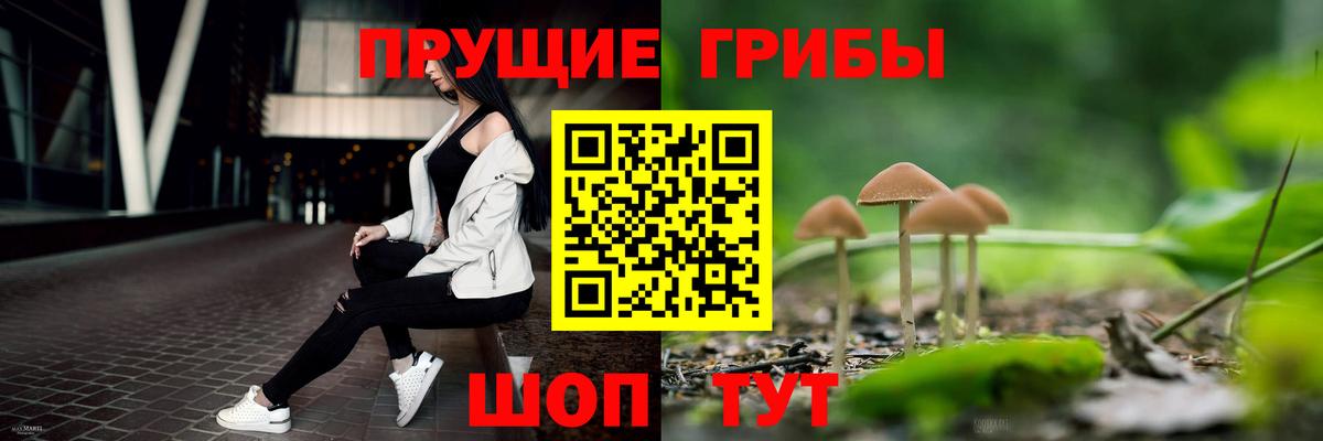 Галлюциногенные грибы Magic Shrooms Тара